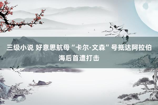三级小说 好意思航母“卡尔·文森”号抵达阿拉伯海后首遭打击